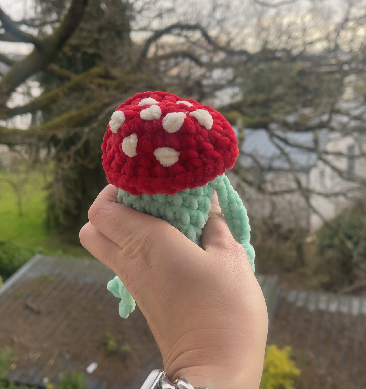 Wilbur la grenouille avec son chapeau champignon