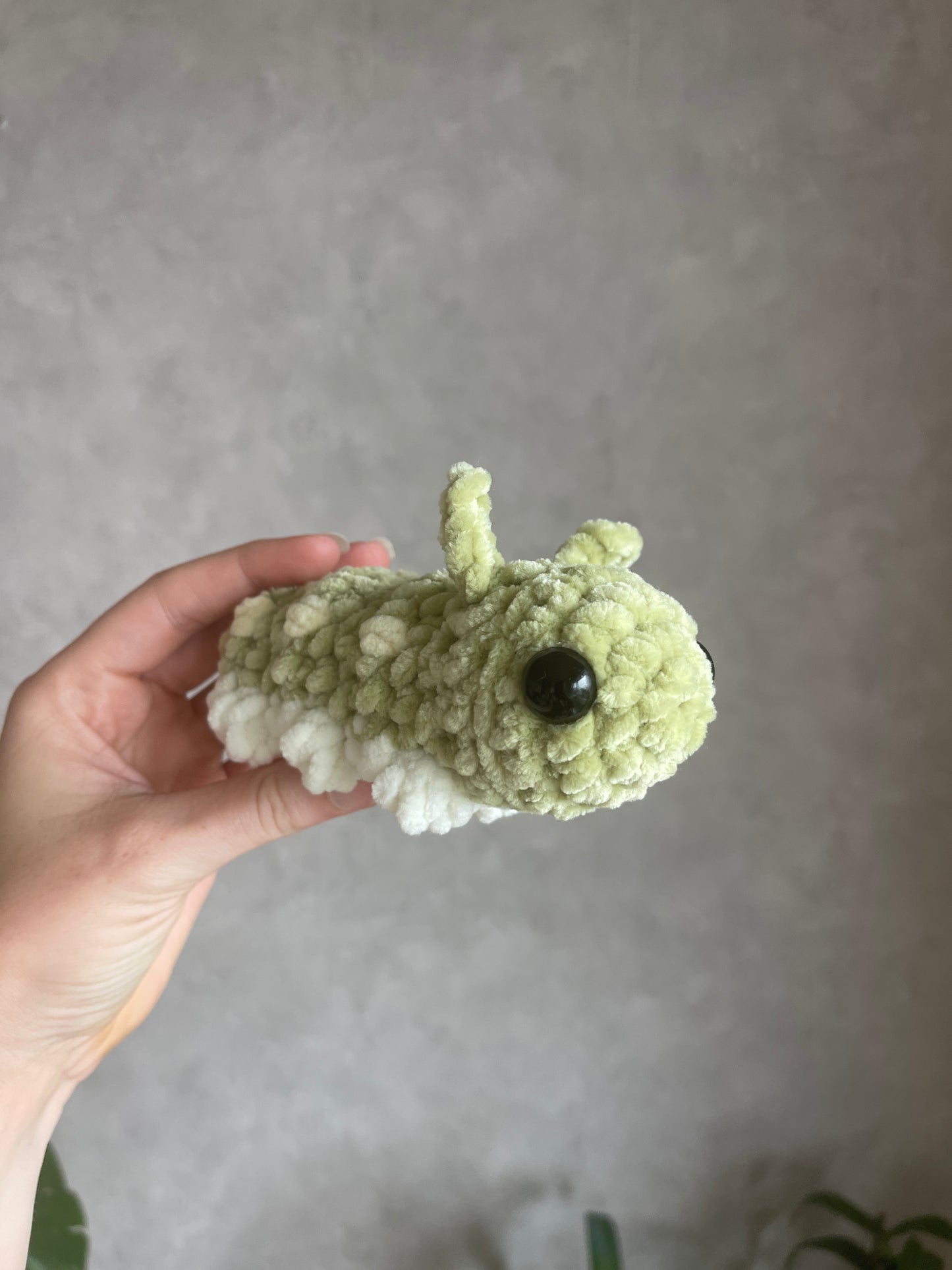 Chenille