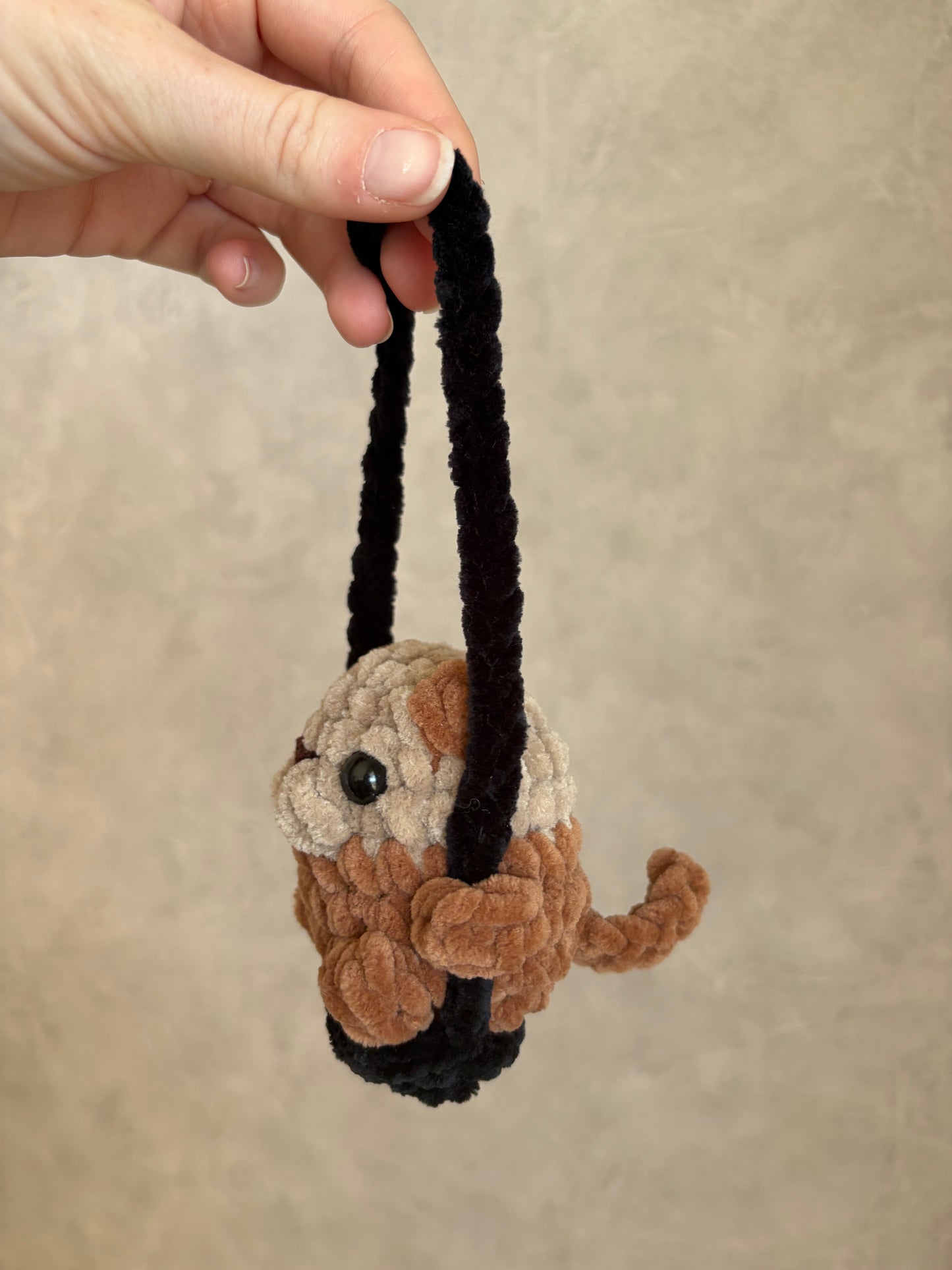 Loutre sur sa balançoire