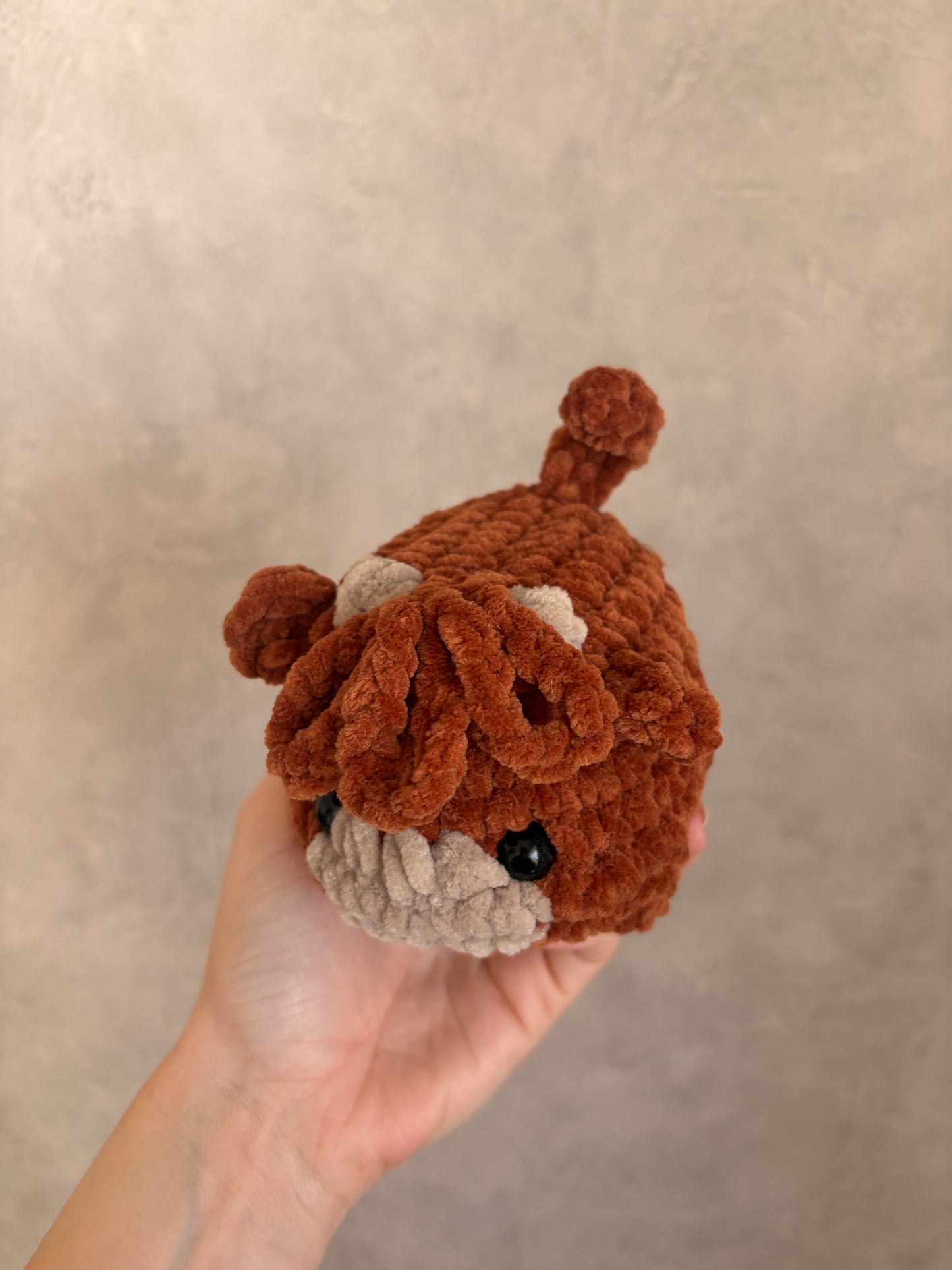 Vache brioche highland