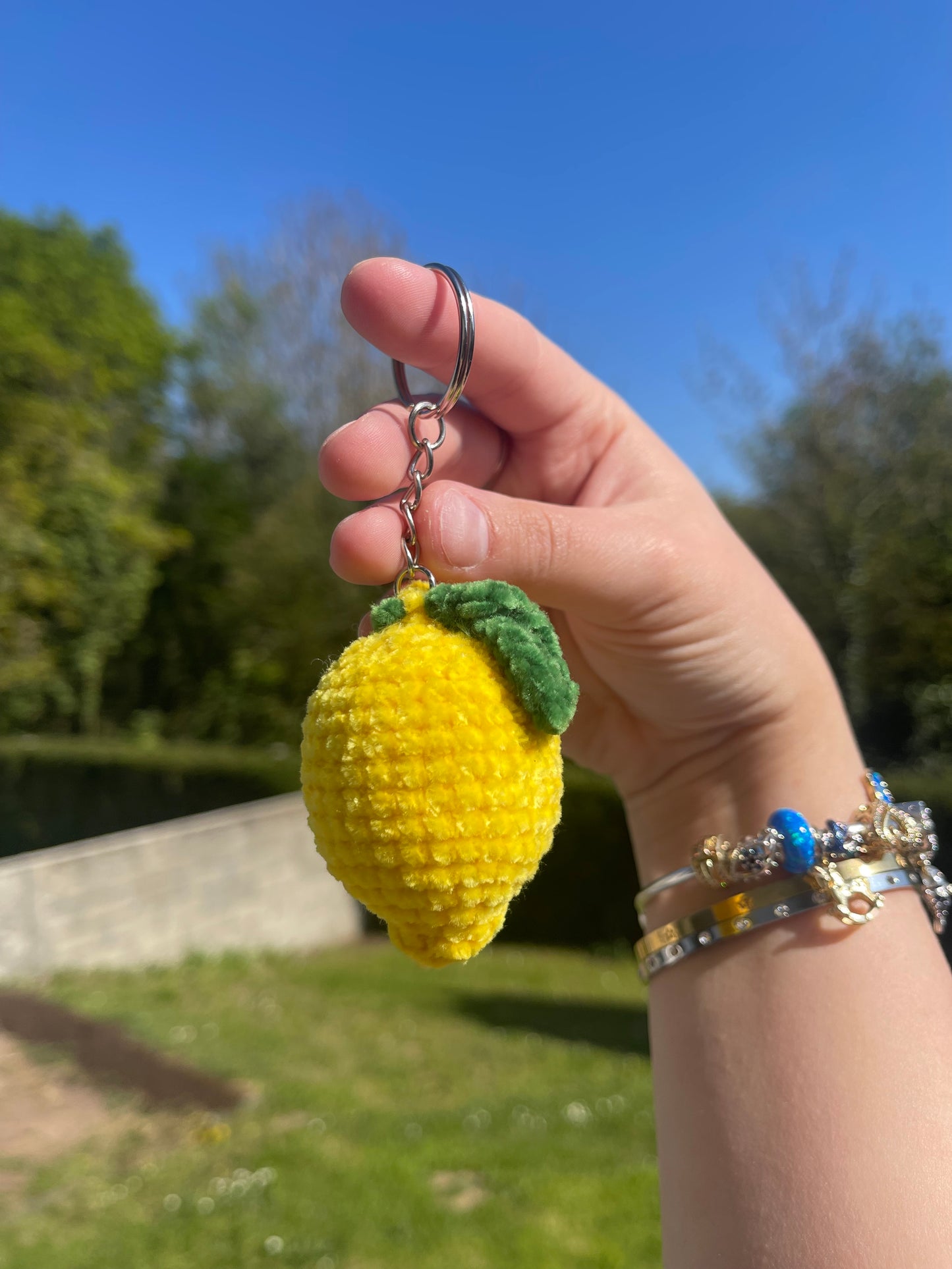 Citron porte clé