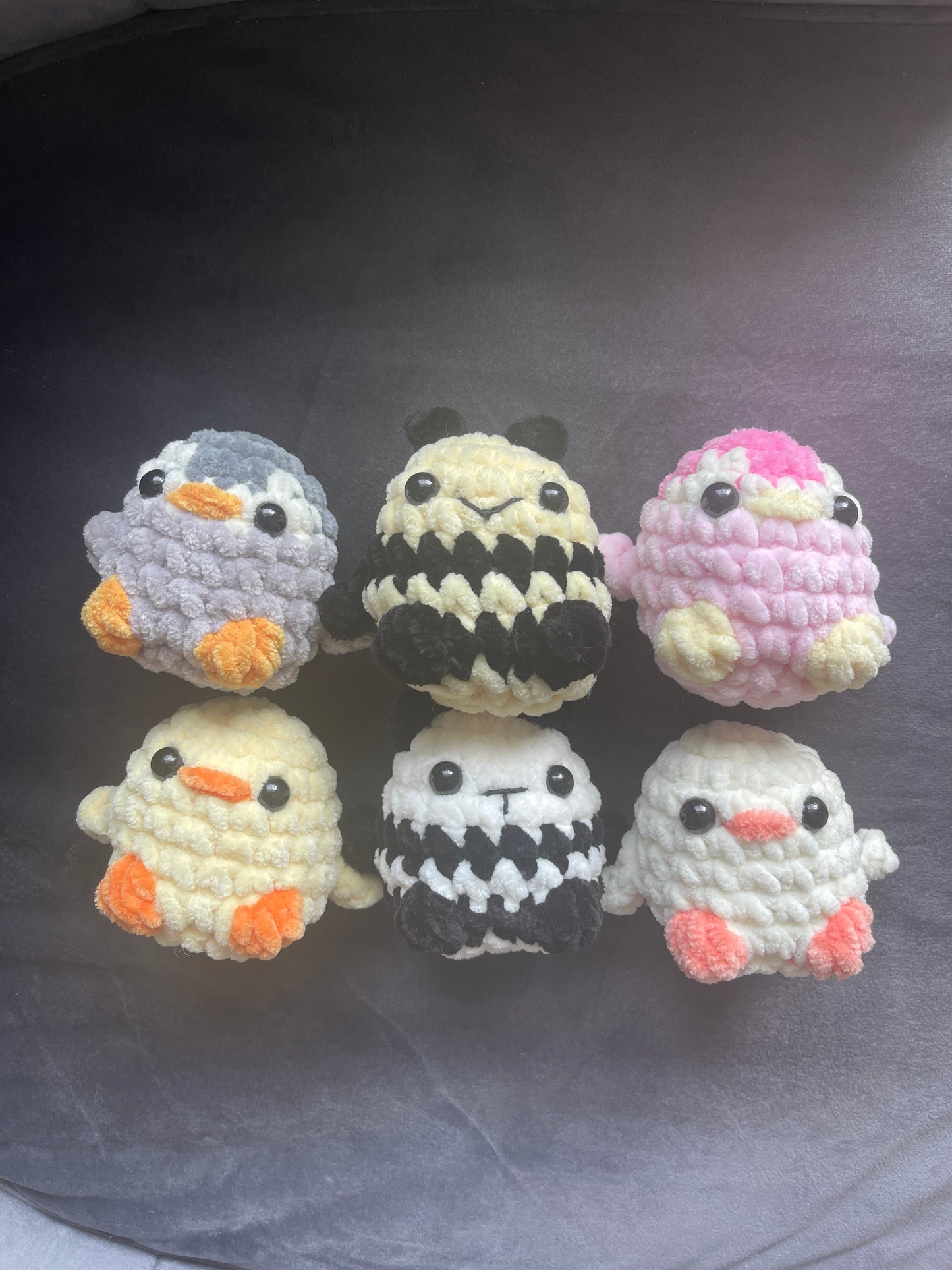 Minis animaux