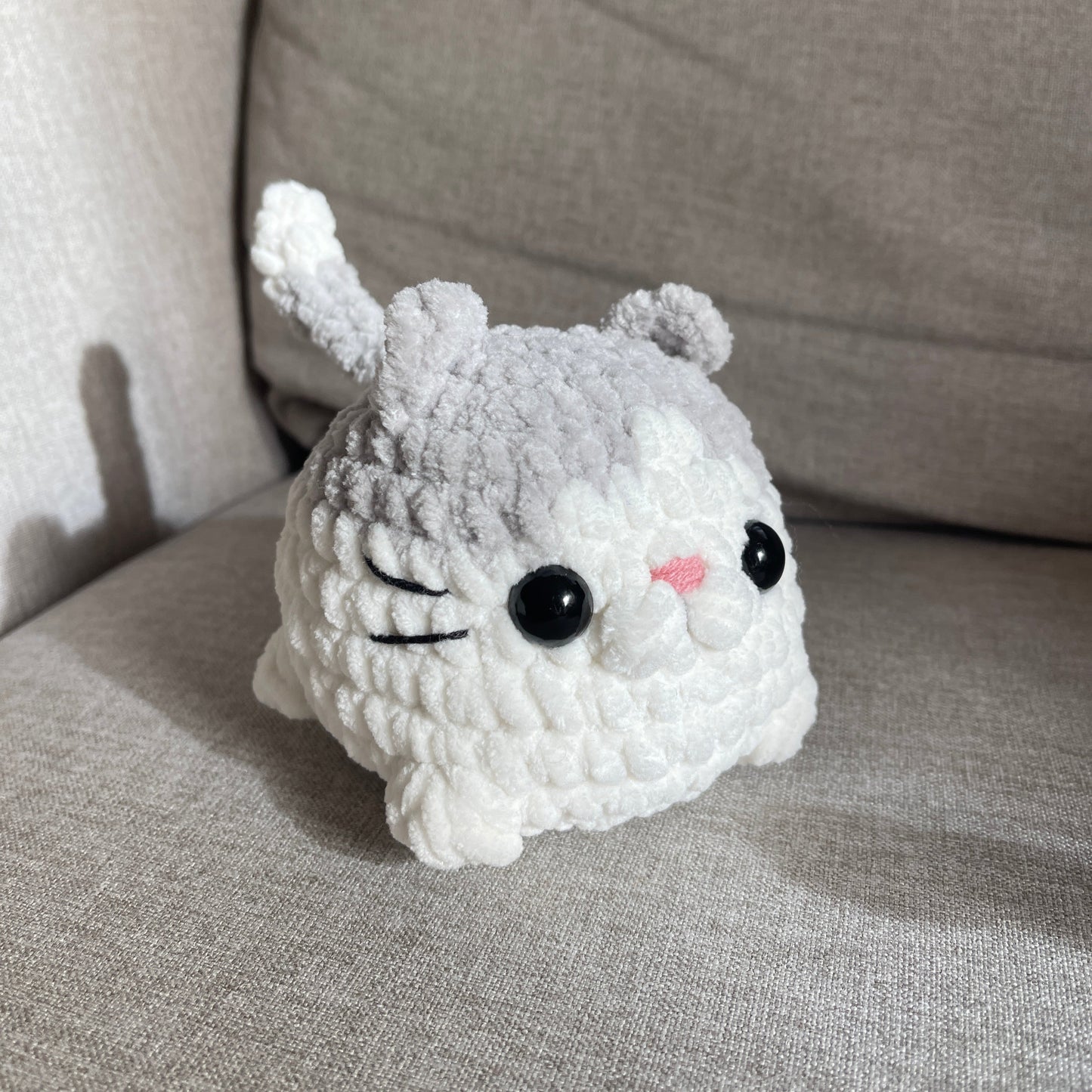 Chat brioche
