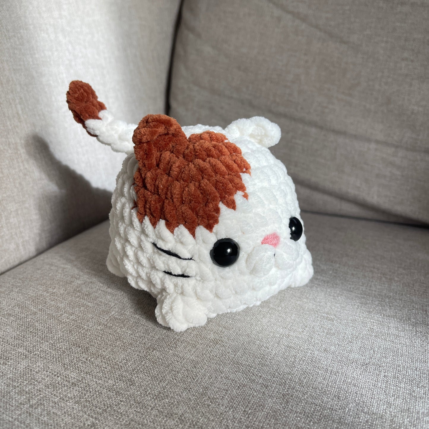 Chat brioche