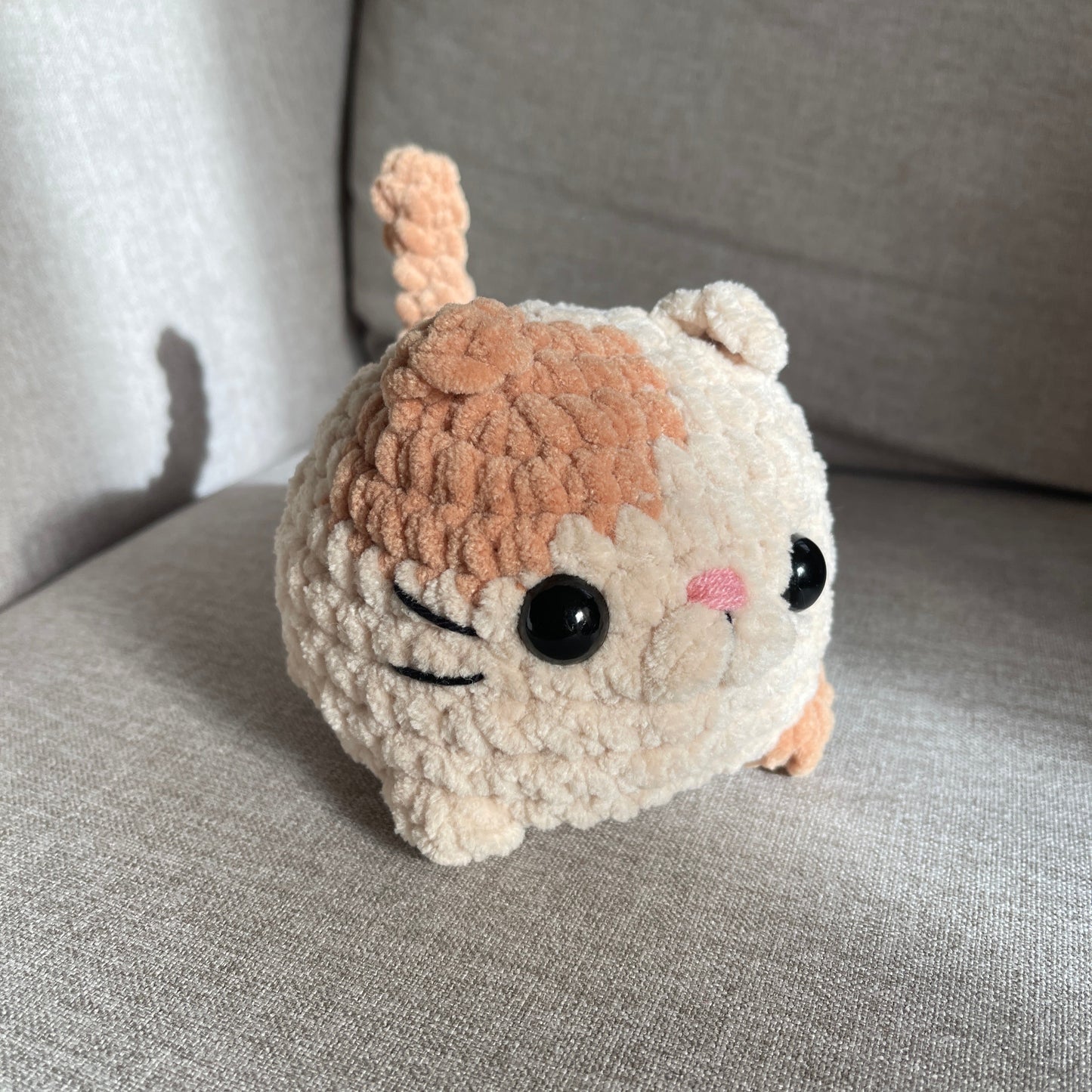 Chat brioche