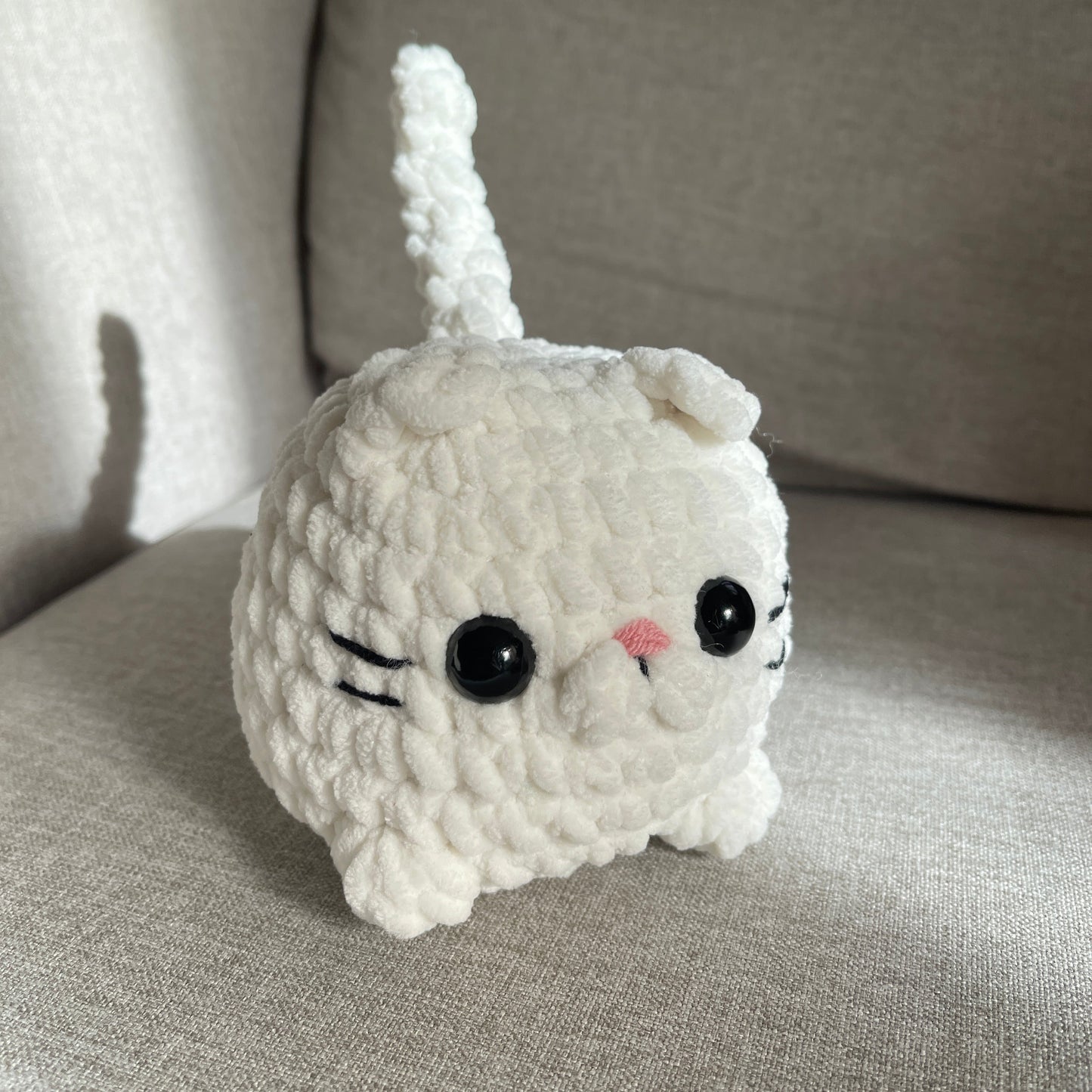 Chat brioche