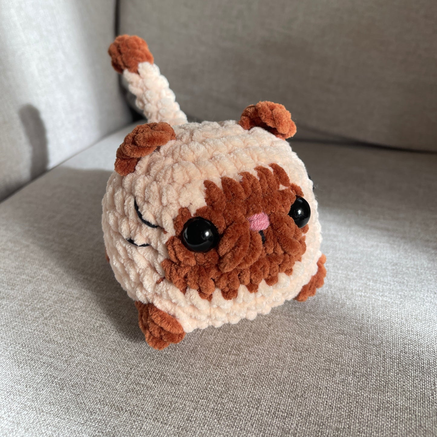 Chat brioche
