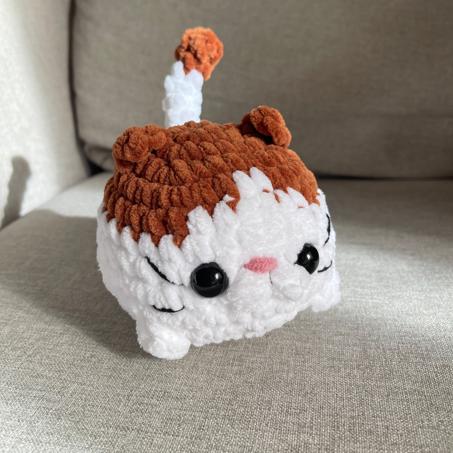 Chat brioche