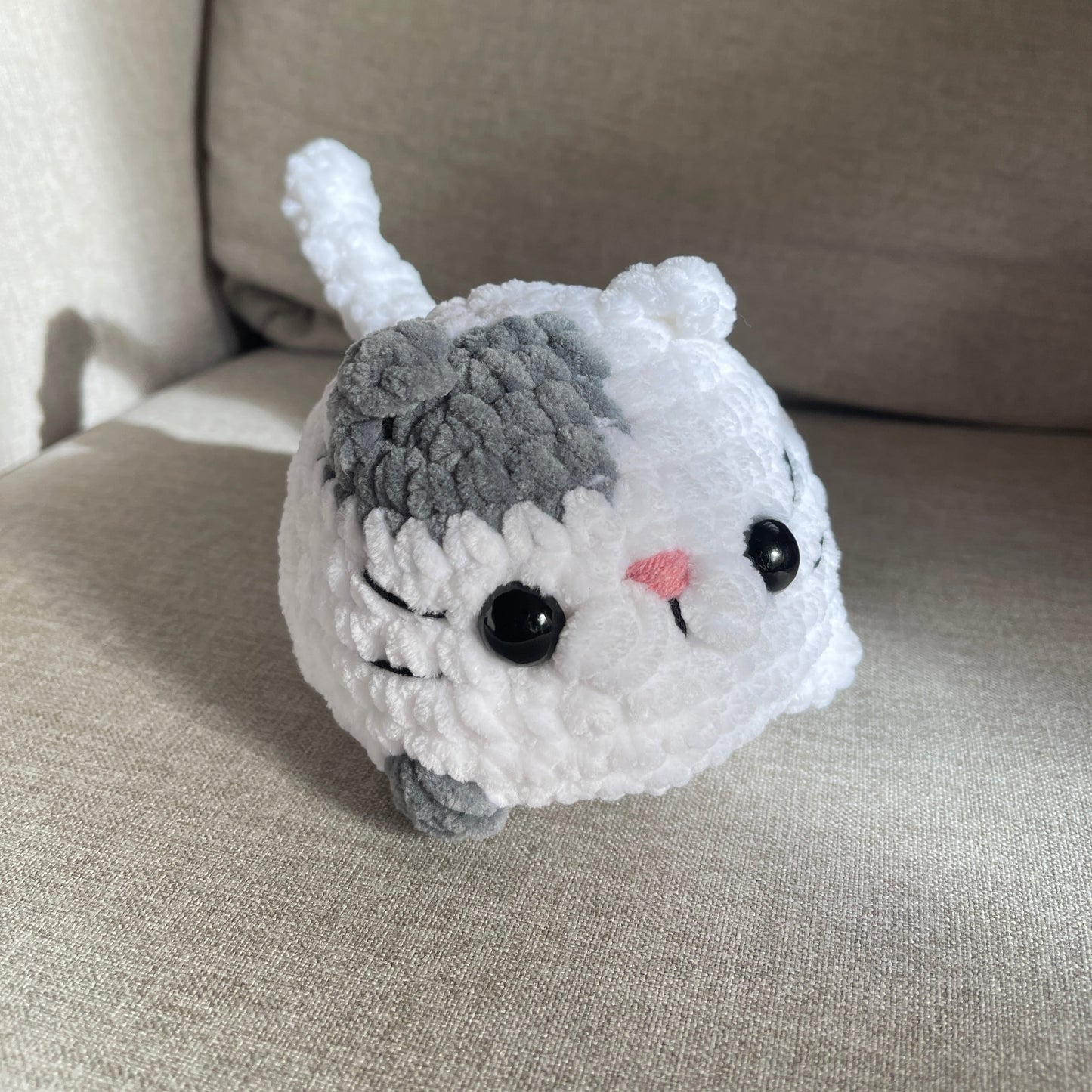 Chat brioche