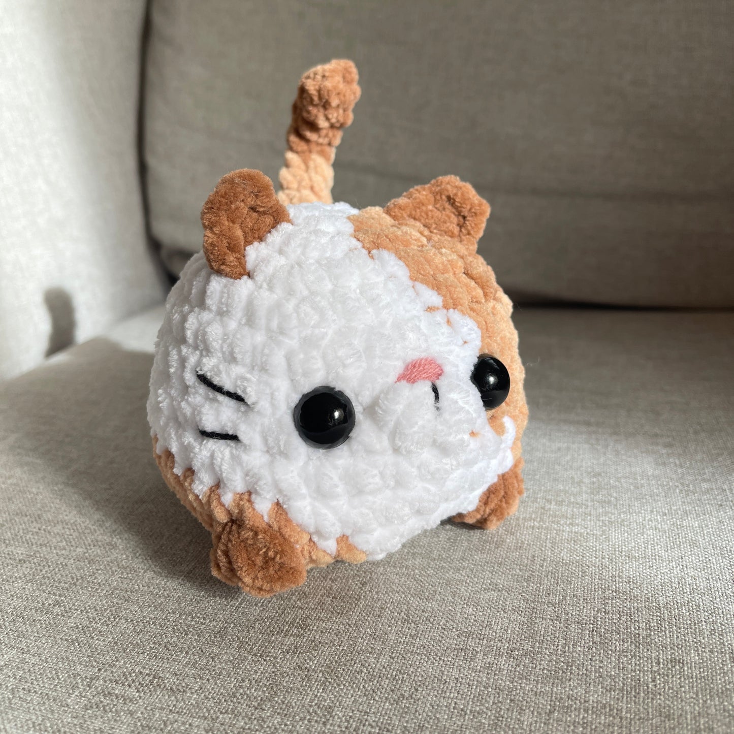 Chat brioche