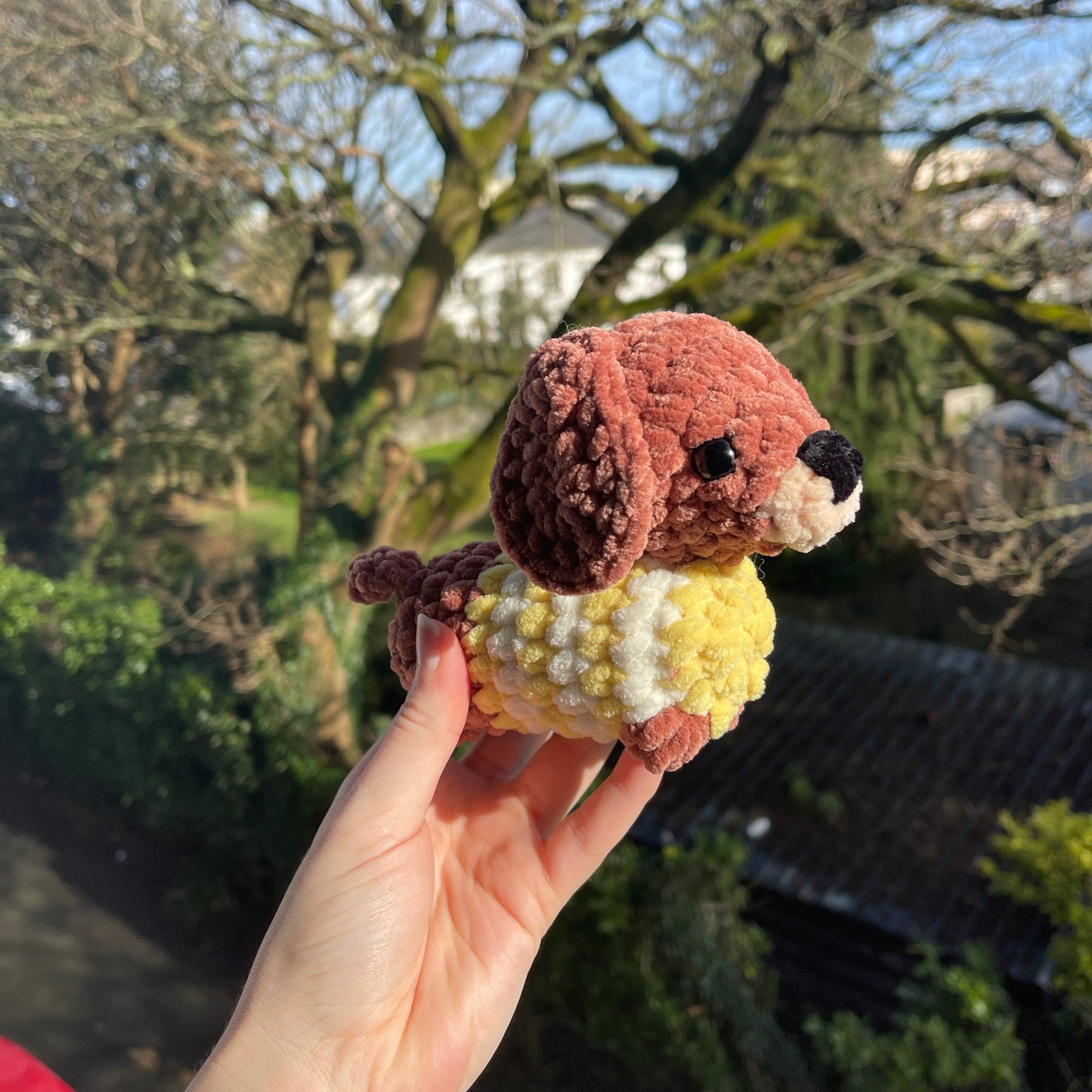 Scotty le chien saucisse en pull jaune