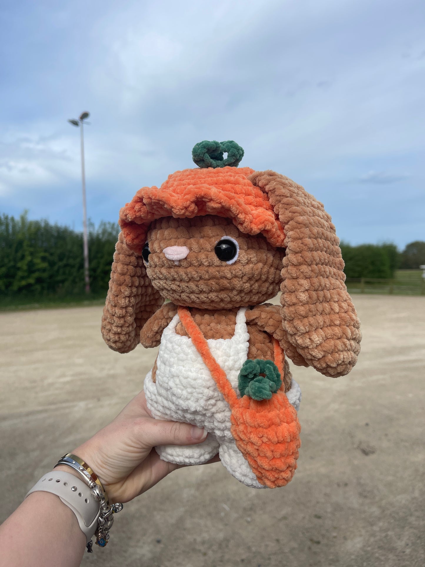 Lily le lapin carotte