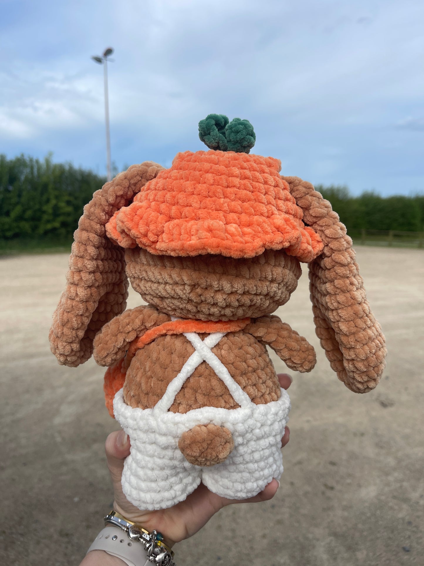 Lily le lapin carotte