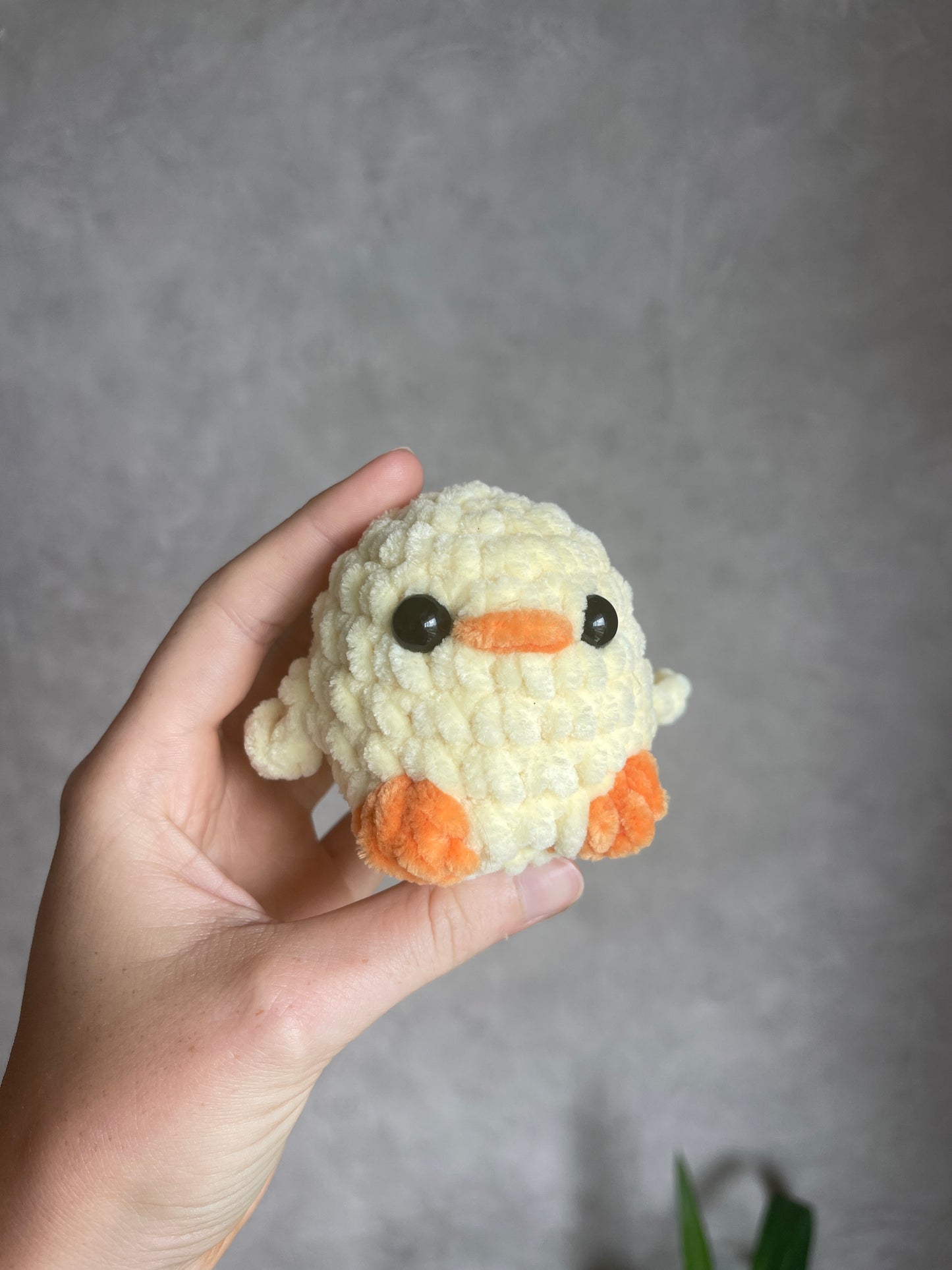 Minis animaux