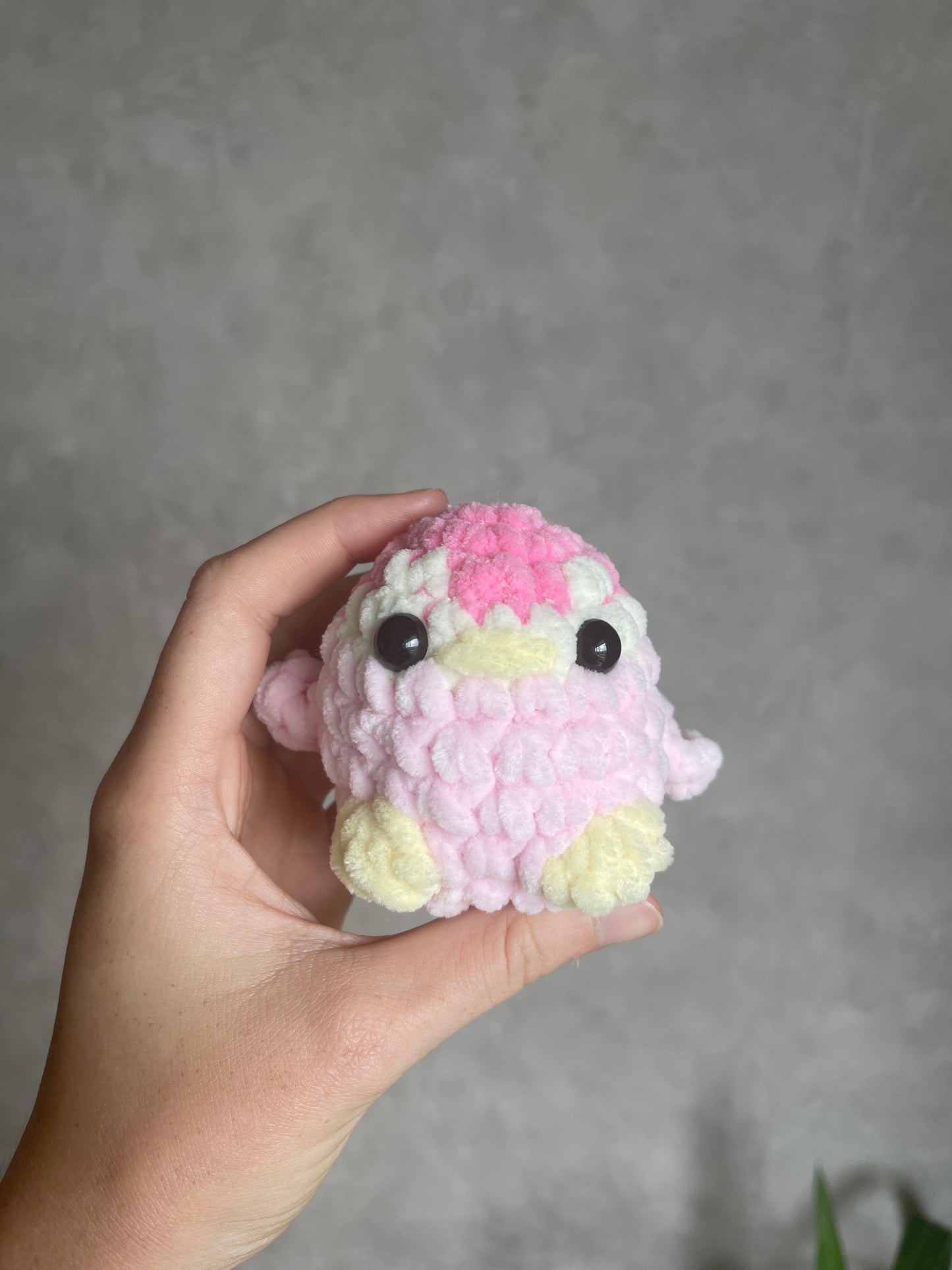Minis animaux