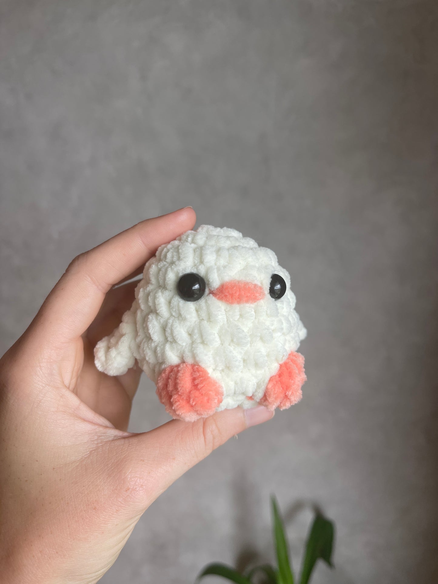 Minis animaux