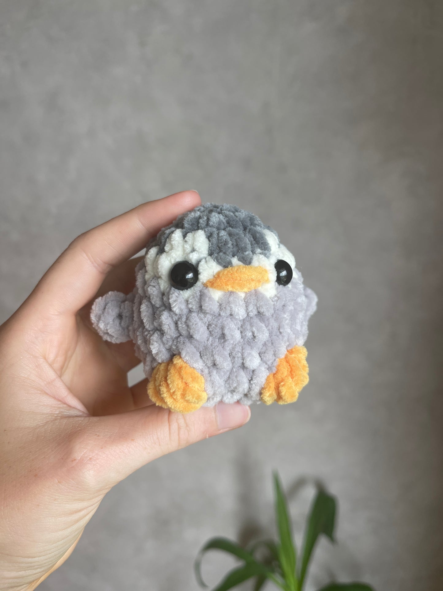 Minis animaux