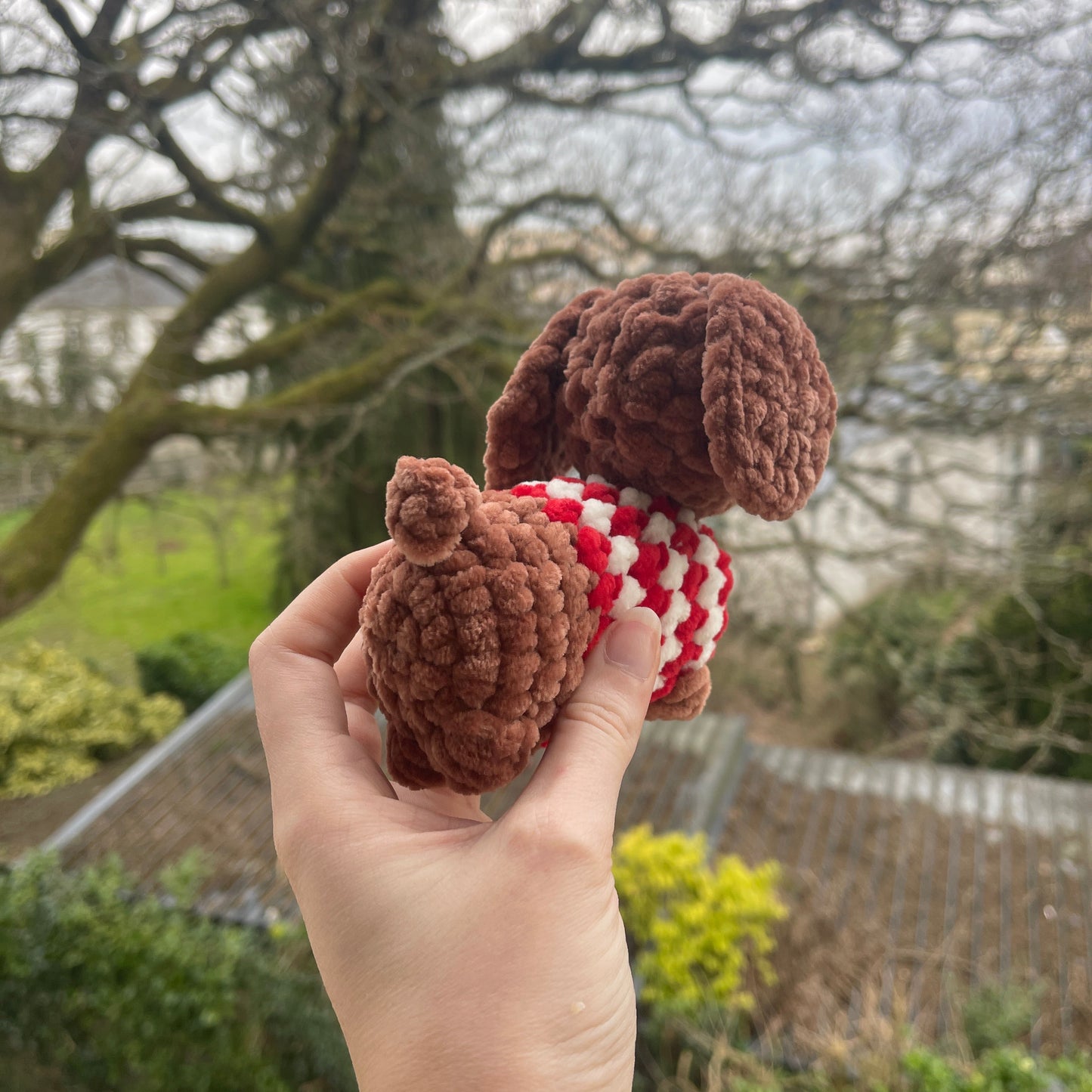 Scotty le chien saucisse en pull rouge