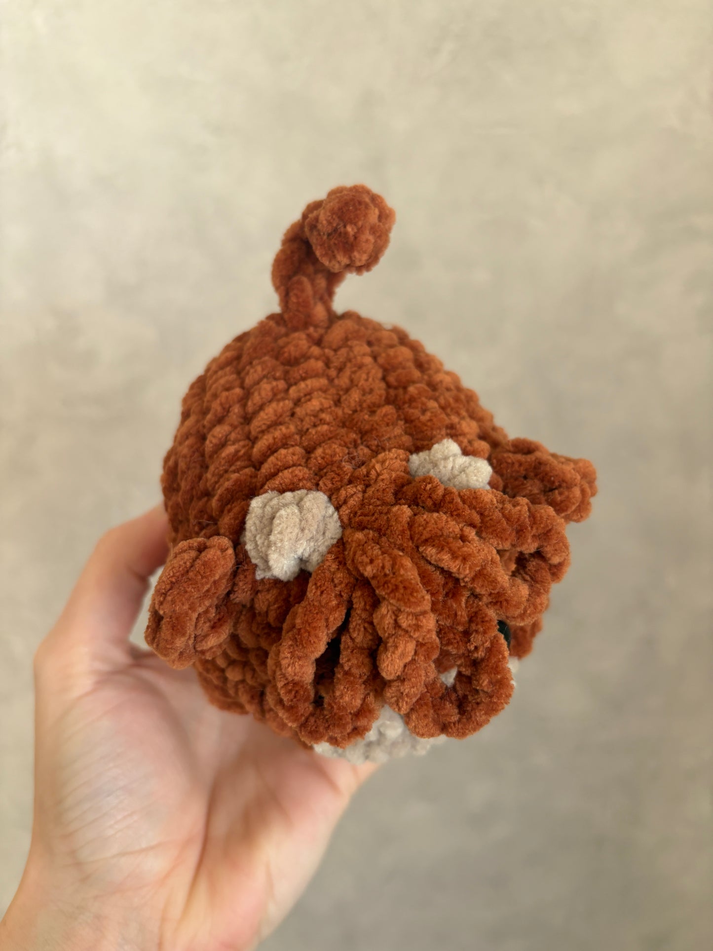 Vache brioche highland