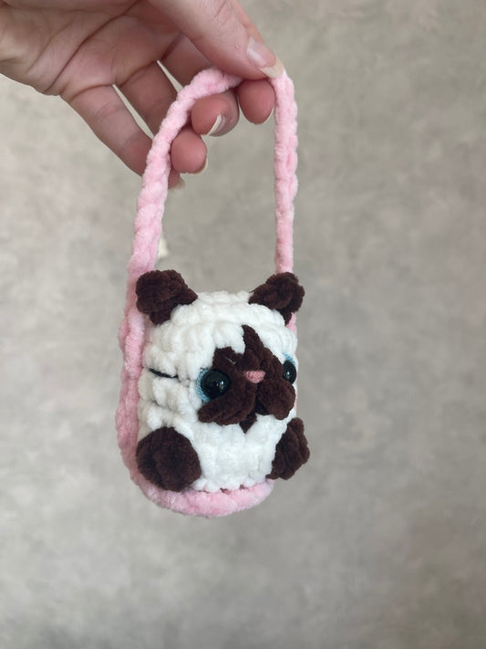 Chat siamois brioche sur sa balançoire