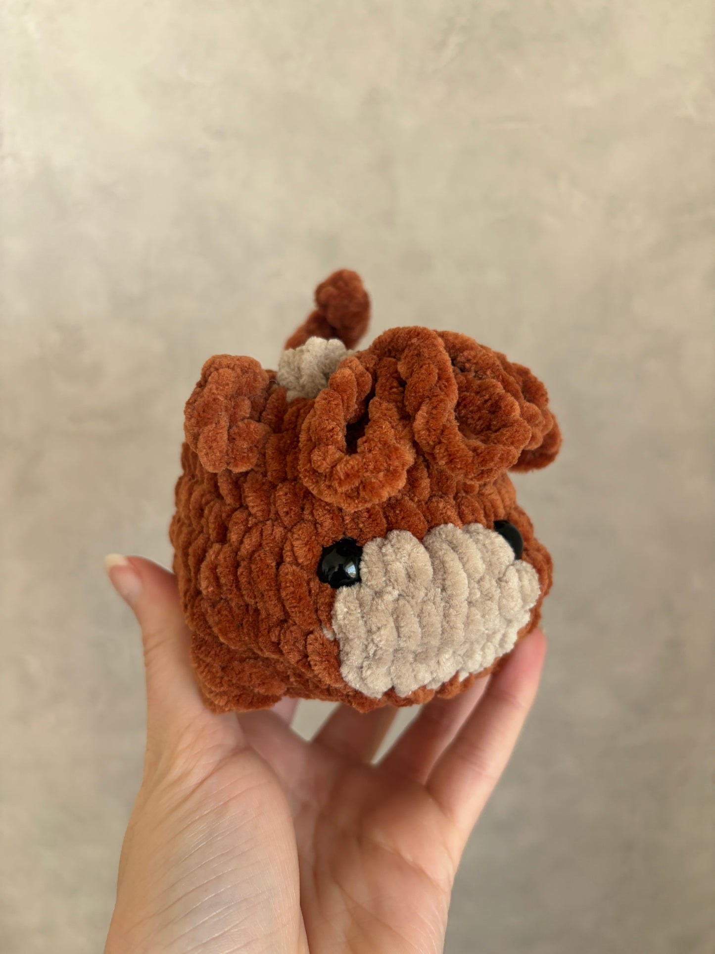 Vache brioche highland