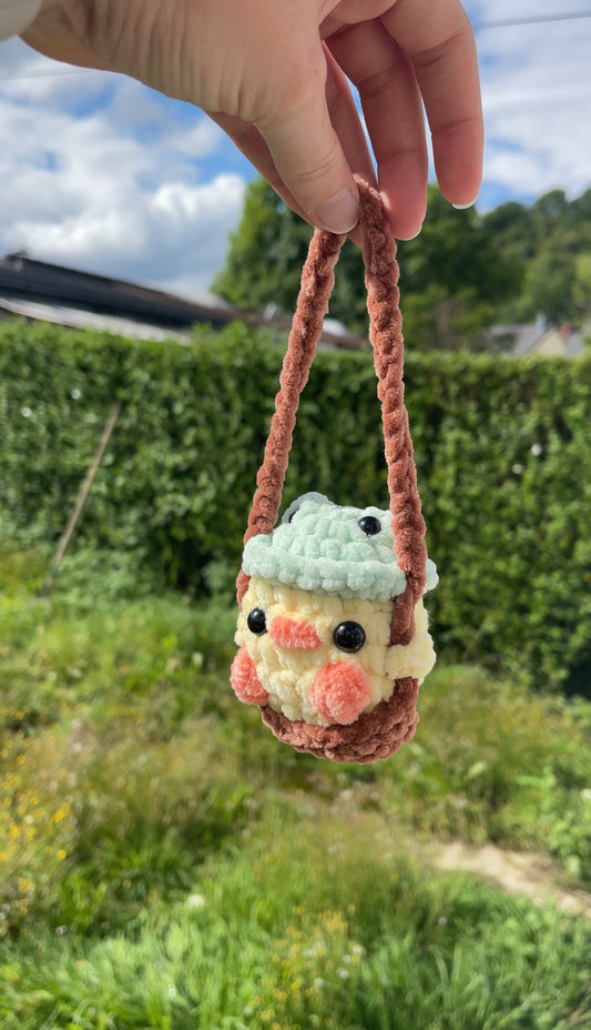 Bébé canard avec chapeau grenouille sur sa balançoire