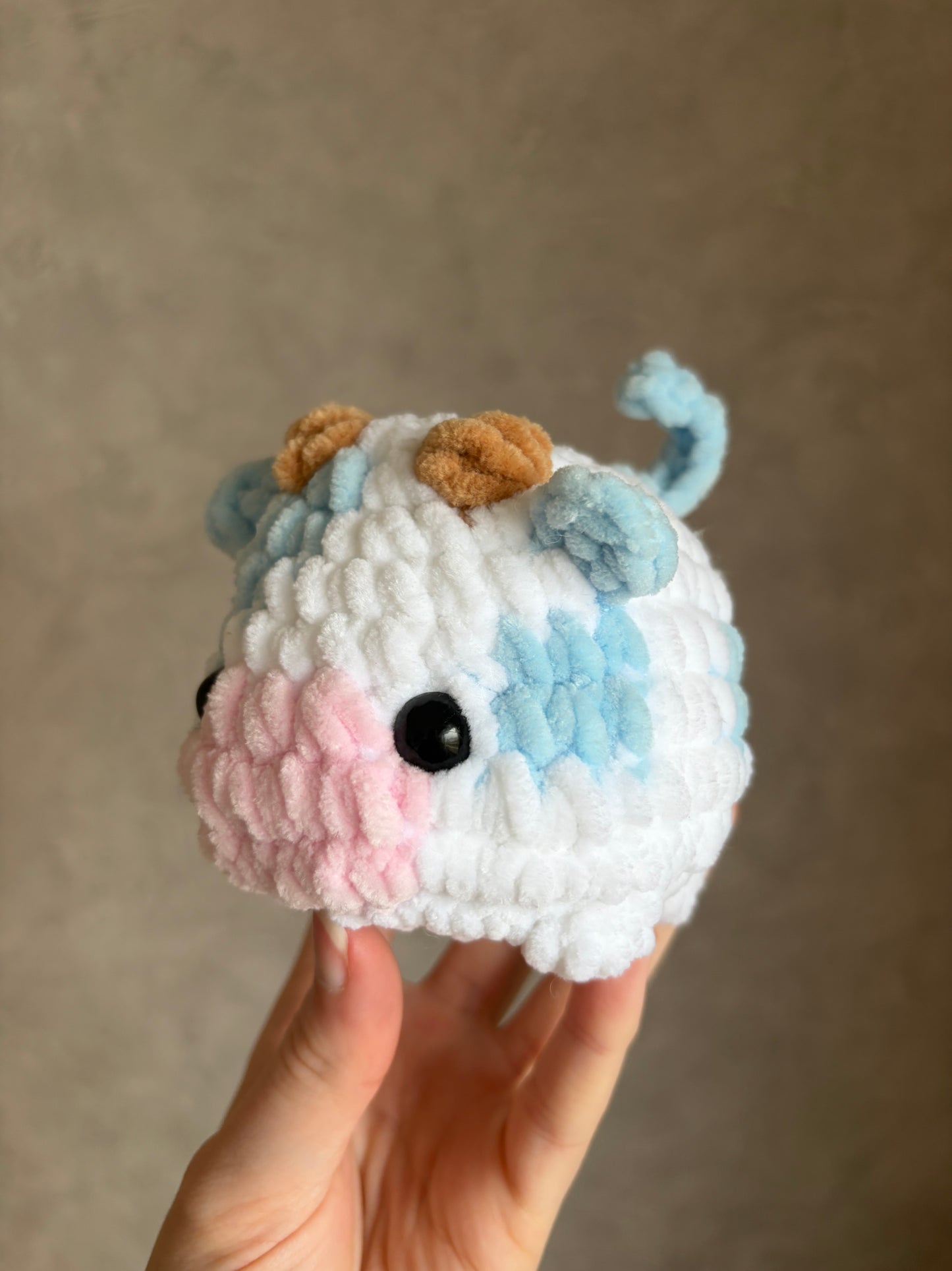 Vache brioche bleue