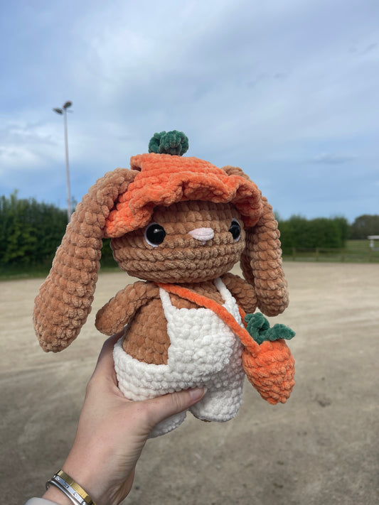 Lily le lapin carotte