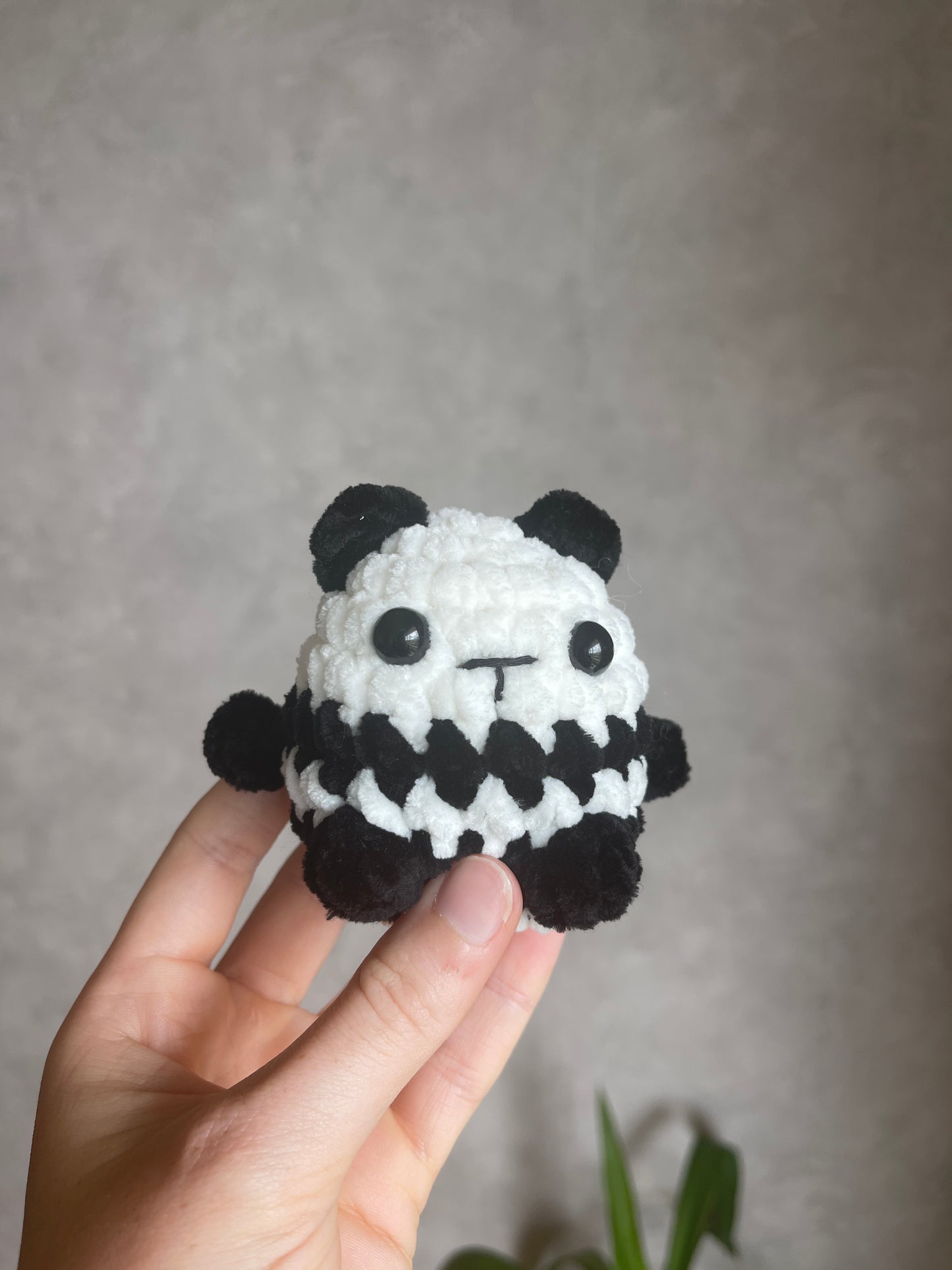 Minis animaux